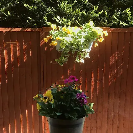 Nocleg ze śniadaniem Bramble *