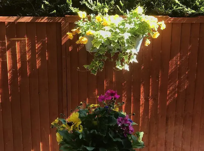 Bed & Breakfast Bramble *